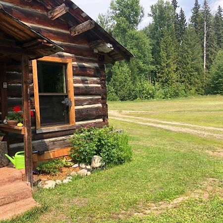Mini-Mooh Cabin Clearwater Exterior photo